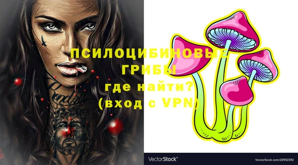 СК Вязники