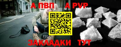 spice Гай