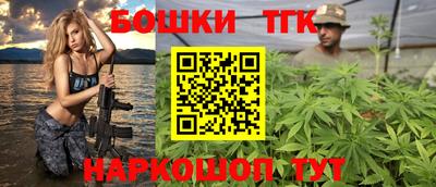 СК Гагарин