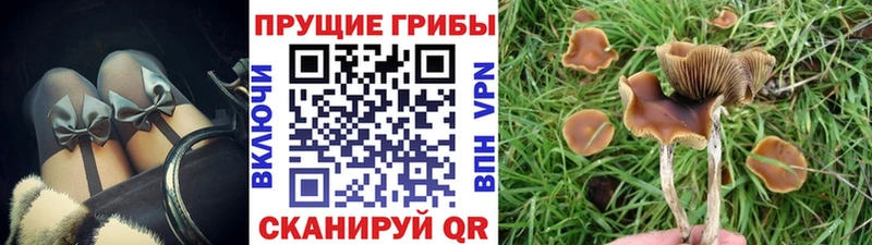 Псилоцибиновые грибы GOLDEN TEACHER  закладки  Елец 