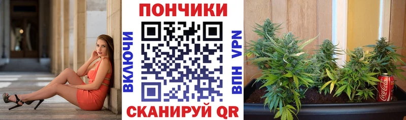 Канабис OG Kush  Елец 